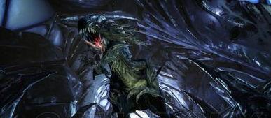 暴君的内心,权力与孤独的交响曲